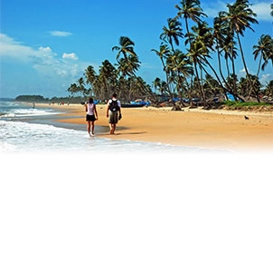Goa Hotels